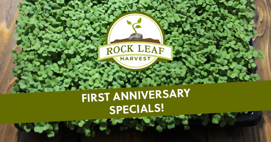 Rock Leaf Harvest - First Anniversary Specials!