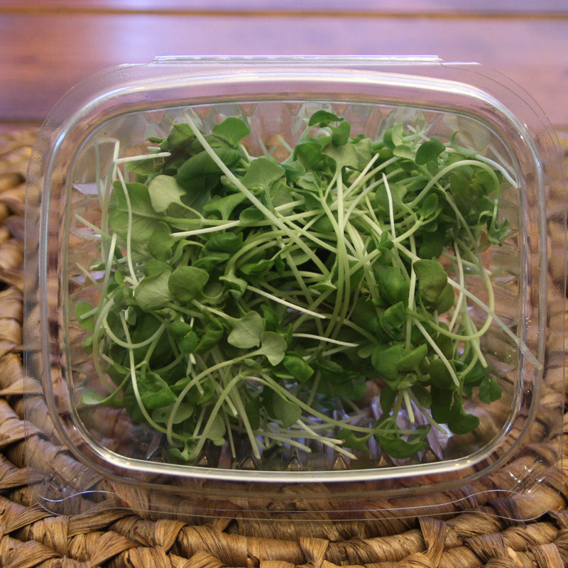 Basil Microgreens