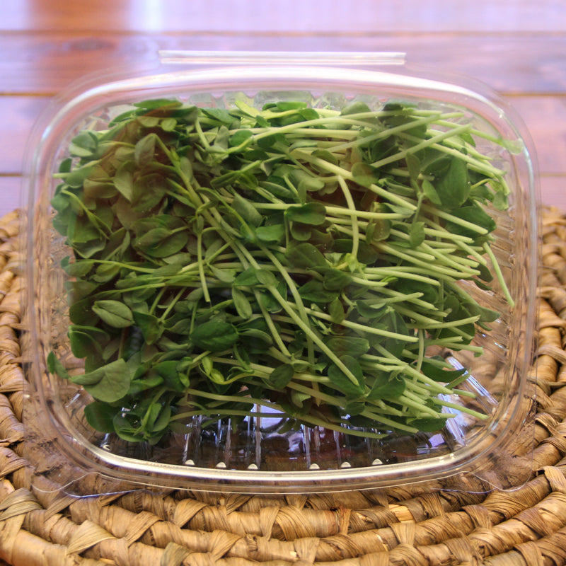 Pea Microgreens
