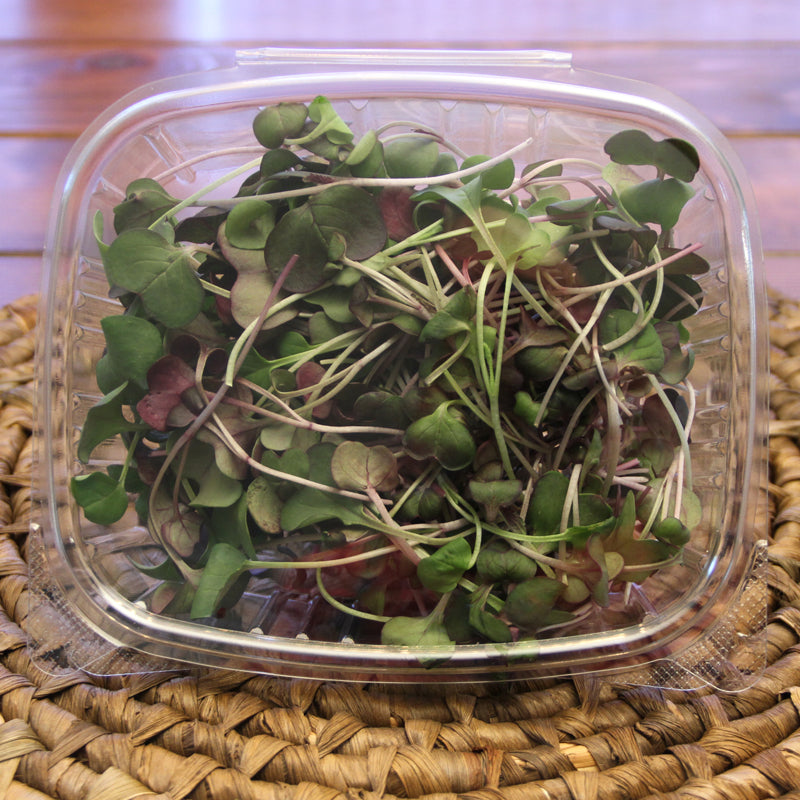 Radish Microgreens