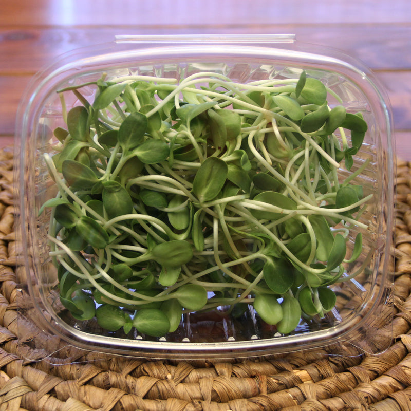 Sunflower Microgreens