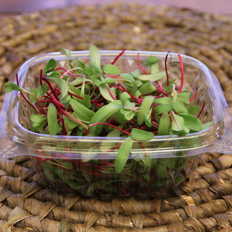 Beet Microgreens, Welland, Wainfleet, Thorold, St. Catharines, Rock Leaf Harvest, Ridgeway, Port Colborne, Niagara-on-the-Lake, Niagara microgreens, Niagara Falls, Fort Erie, Crystal Beach