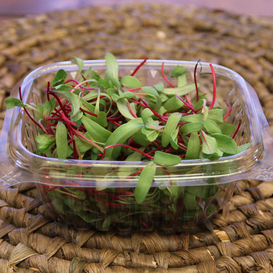 Beet Microgreens, Welland, Wainfleet, Thorold, St. Catharines, Rock Leaf Harvest, Ridgeway, Port Colborne, Niagara-on-the-Lake, Niagara microgreens, Niagara Falls, Fort Erie, Crystal Beach