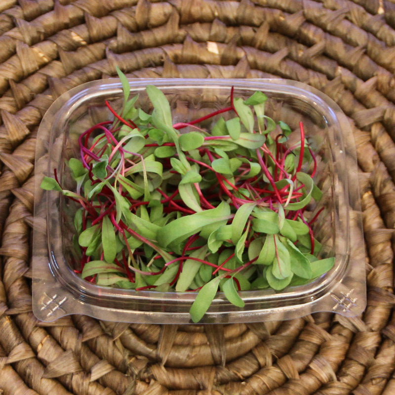 Beet Microgreens