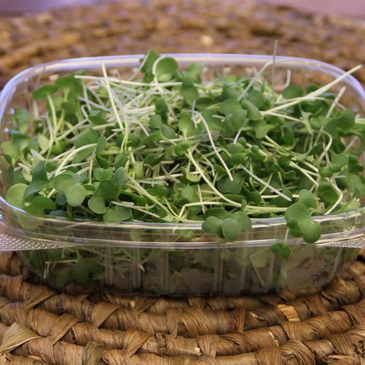 Broccoli Microgreens, Welland, Wainfleet, Thorold, St. Catharines, Rock Leaf Harvest, Ridgeway, Port Colborne, Niagara-on-the-Lake, Niagara microgreens, Niagara Falls, Fort Erie, Crystal Beach