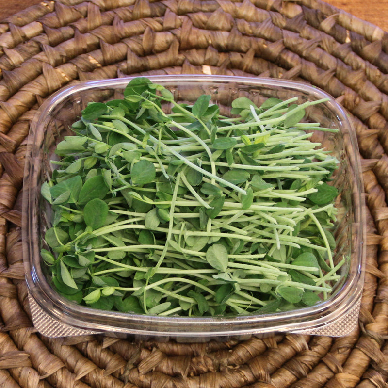 Pea Microgreens