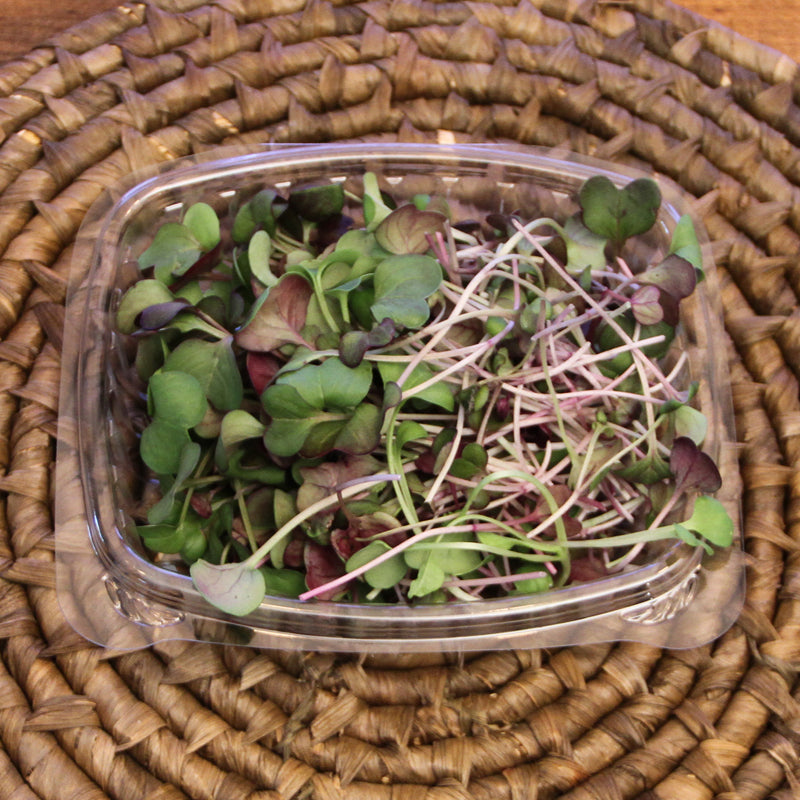 Radish Microgreens