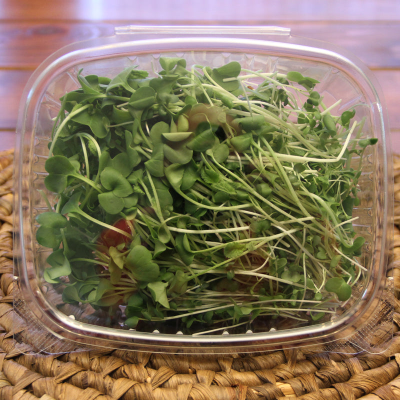 Spring Salad Mix Microgreens