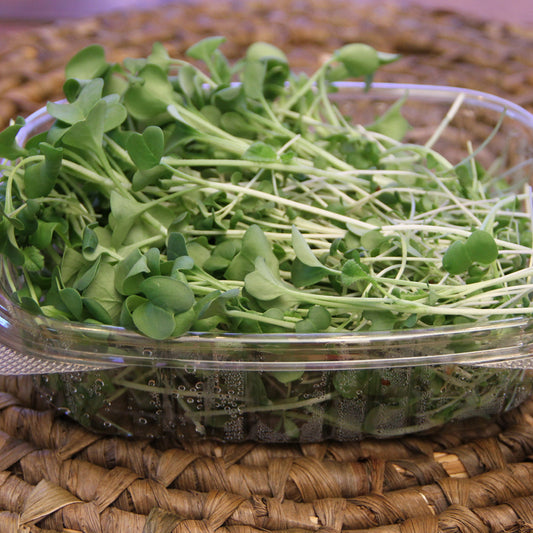 Spring Salad Mix Microgreens, Welland, Wainfleet, Thorold, St. Catharines, Rock Leaf Harvest, Ridgeway, Port Colborne, Niagara-on-the-Lake, Niagara microgreens, Niagara Falls, Fort Erie, Crystal Beach