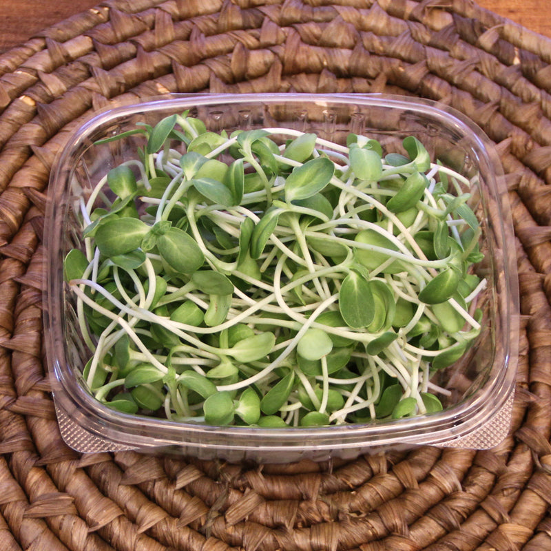 Sunflower Microgreens